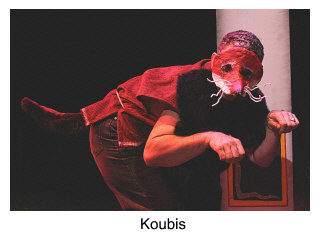 Koubis