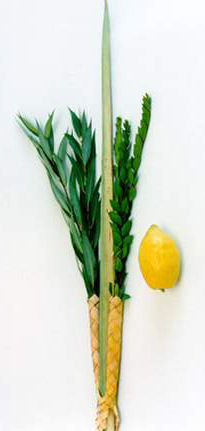 Lulav and Etrog