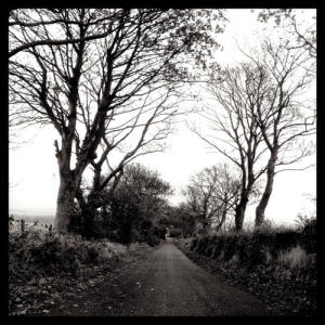 Near Lunan Bay, Scotland by Stu Jenks