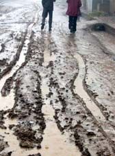 Muddy Road by Dan Liu