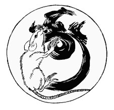 Oriental rat in the moon