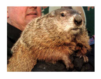 Punxsutawney Phil