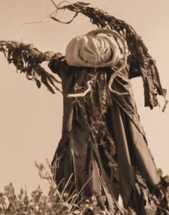 Scarecrow